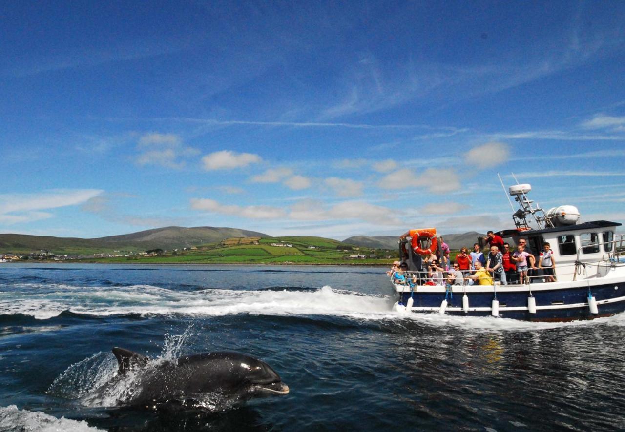 Dingle Harbour Cottages 3 Bed Sleeps 7 By Trident Holiday Homes Luaran gambar