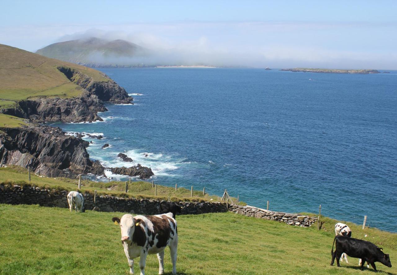 Dingle Harbour Cottages 3 Bed Sleeps 7 By Trident Holiday Homes Luaran gambar
